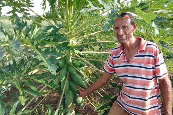 Campesino de Florida ostenta categoría de Vanguardia
