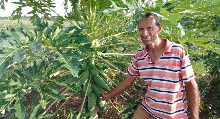 Campesino de Florida ostenta categoría de Vanguardia