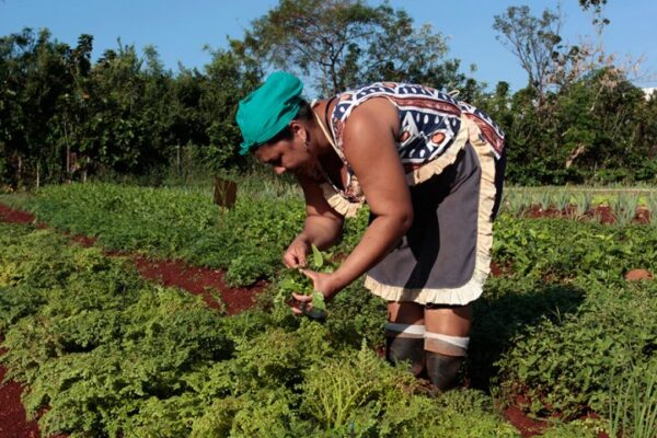 Mujer campesina aporta a las producciones agroalimentarias en Camagüey