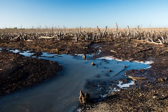 Avanza Cuba en lucha contra desertificación y sequía