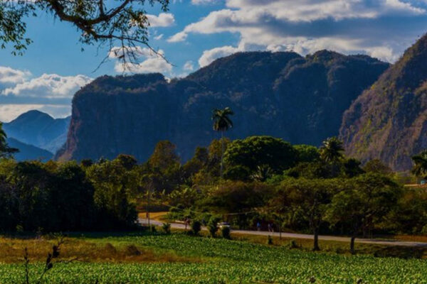 Destaca Citma compromisos ambientales de Cuba