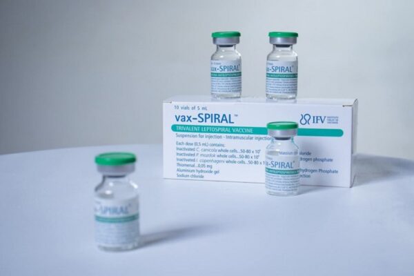Cuba cuenta con vacuna de gran impacto contra la leptospirosis