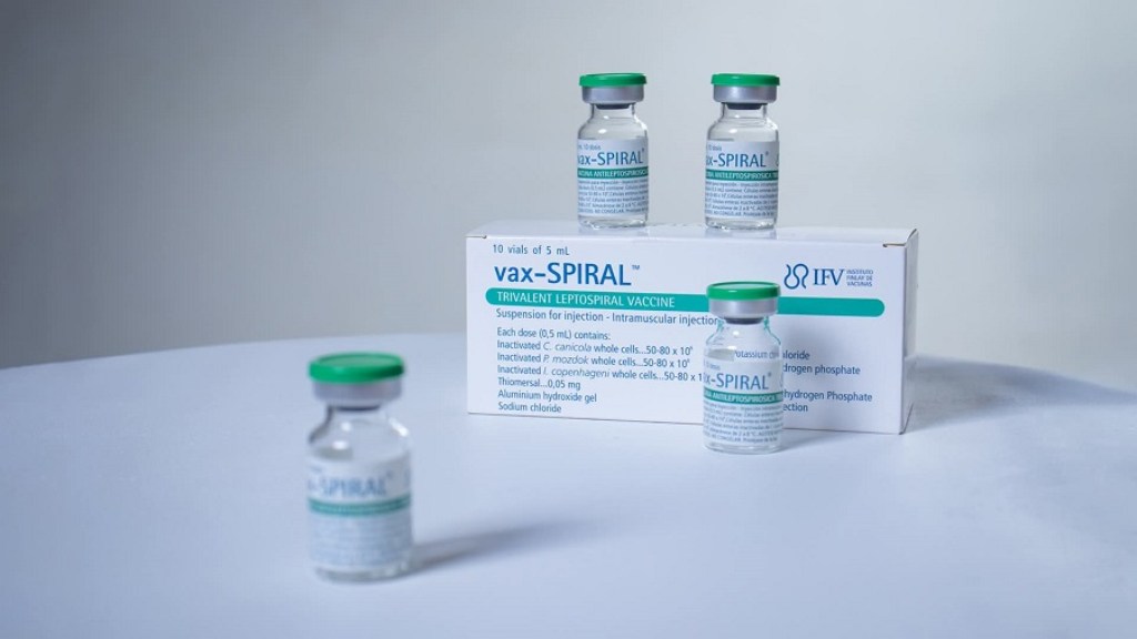 Cuba cuenta con vacuna de gran impacto contra la leptospirosis