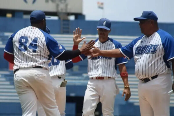 Leones de Industriales