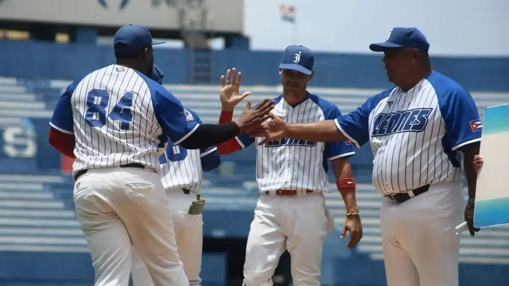 Leones de Industriales