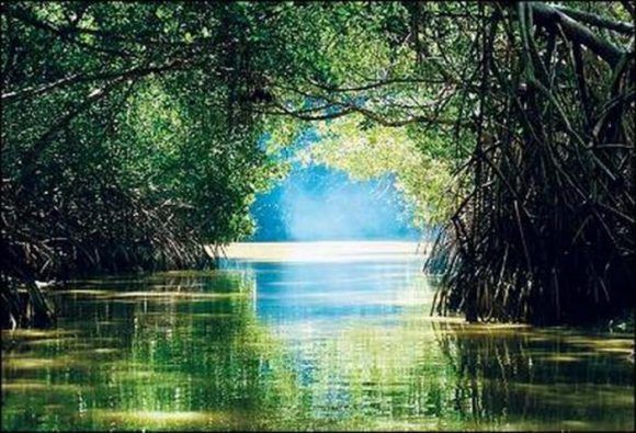 Cuba prioriza protección de ecosistemas costeros