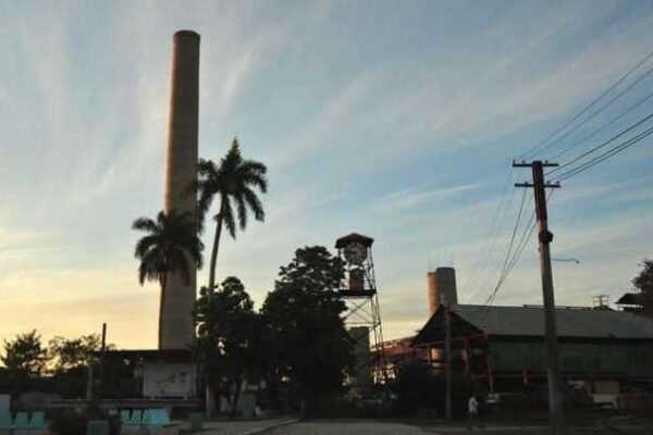 Empresa Agroindustrial de Minas incrementa rentabilidad