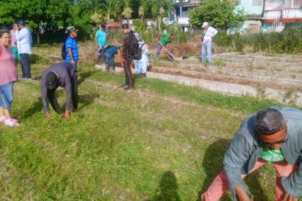Trabajadores de Educación en Camagüey aportan a labores agrícolas