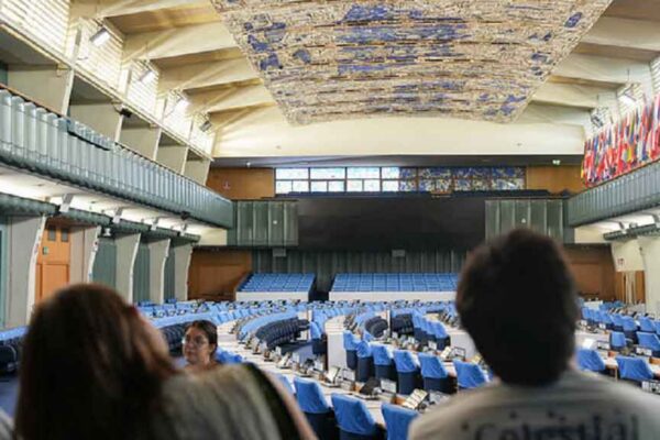FAO informó sobre el estado de los mercados de productos agrícolas