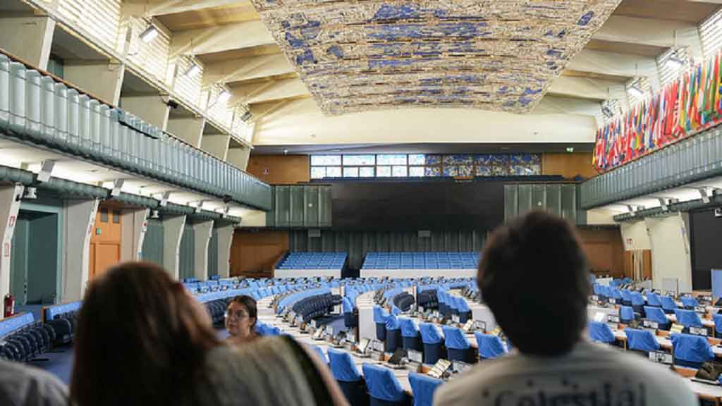 FAO informó sobre el estado de los mercados de productos agrícolas