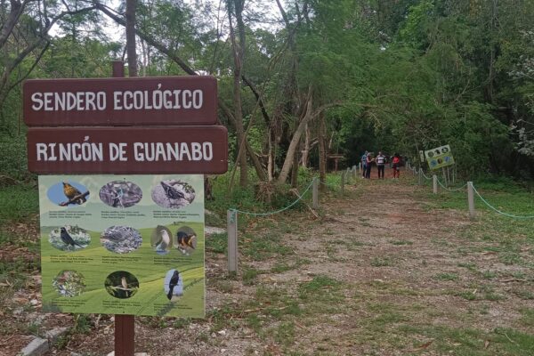 Destacan vinculación entre áreas protegidas y transformaciones económicas