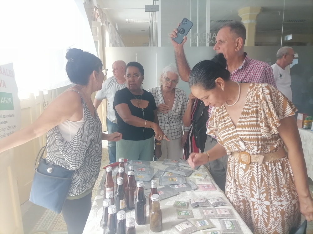 Impulsa Cámara de Comercio Camagüey-Ciego de Ávila transformaciones socioeconómicas
