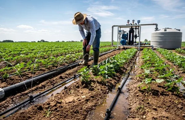 Proyecto impulsa optimización del agua en producción agrícola