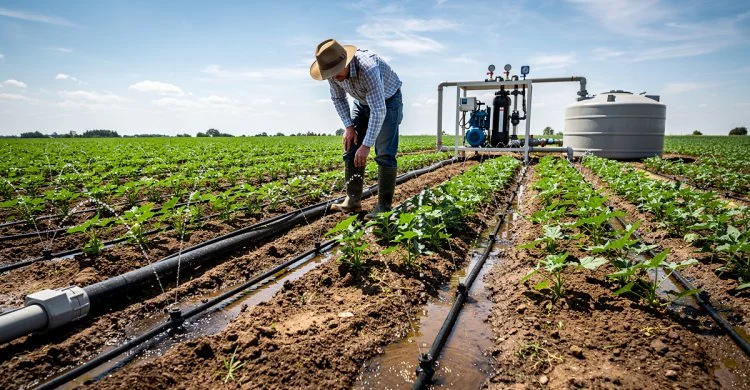 Proyecto impulsa optimización del agua en producción agrícola