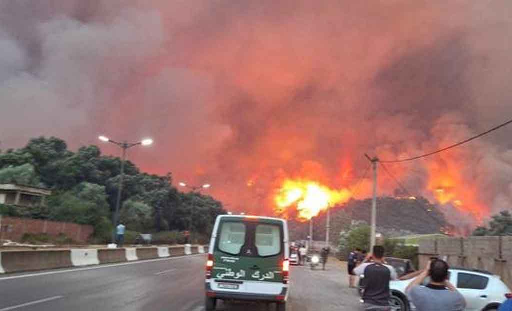 Canciller cubano lamenta víctimas por incendios forestales en Argelia