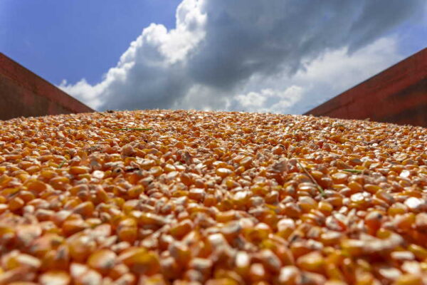 Abogan por sistemas agroproductivos más resilientes y sostenibles