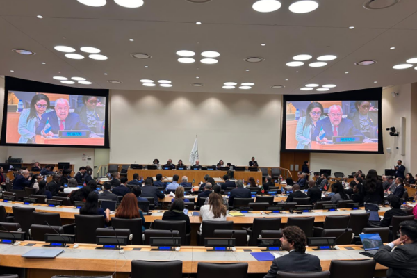 Reunión ministerial de la Celac sesionó en Nueva York