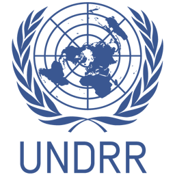 Díaz-Canel recibe a representante de ONU para la reducción de riesgos
